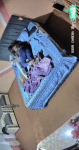 Pakistani hidden camera big ass fucking his wife viral video