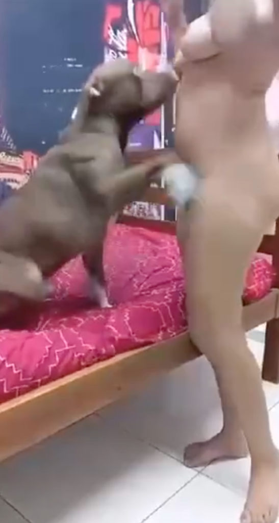 Sexy girl viral video with dog