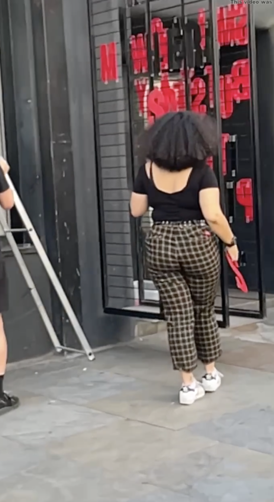 Hidden record in public area big ass