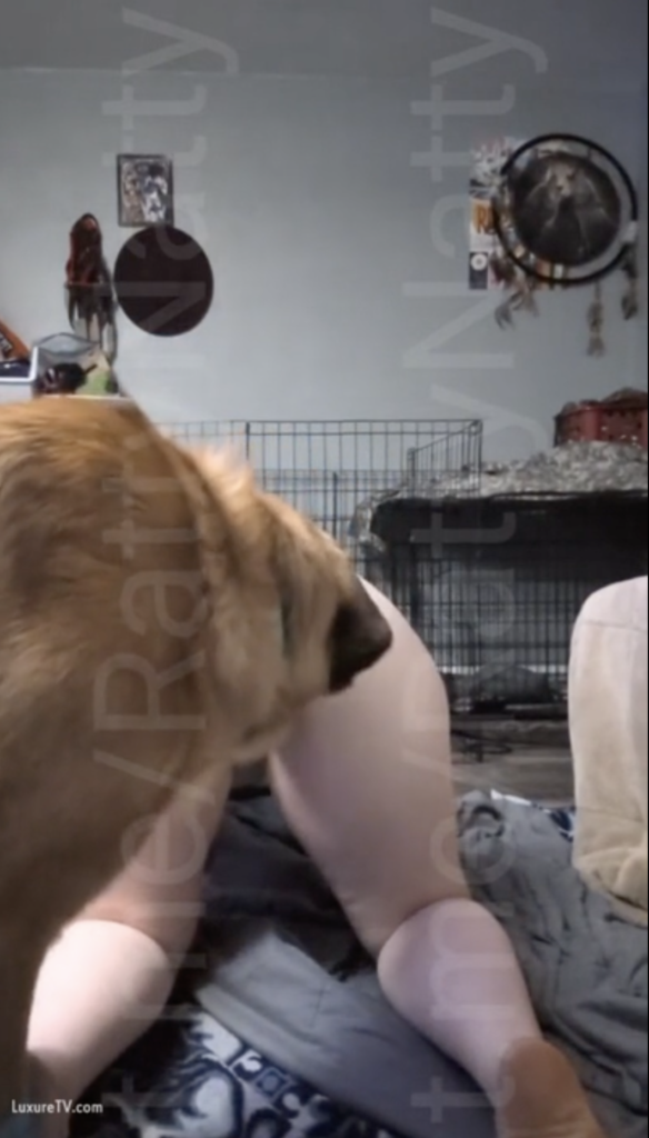 White chubby girl fuck by dog